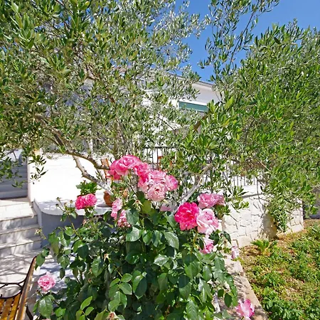 House With Wifi - 15319 *