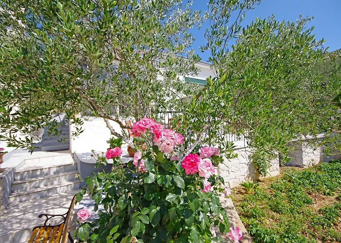 House With Wifi - 15319 *